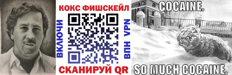 COCAIN Fish Scale  Купить где  Лабинск 
