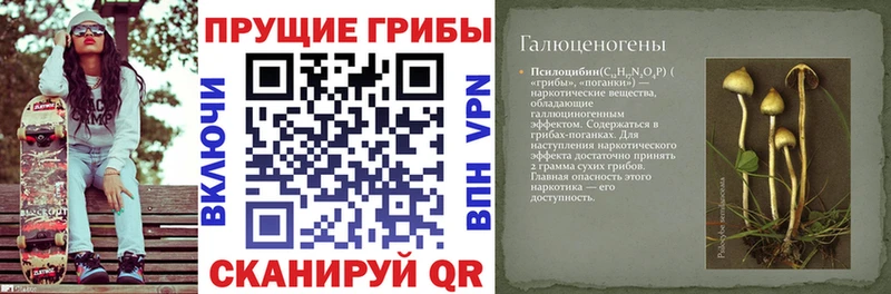 Галлюциногенные грибы Cubensis Купить закладки Лабинск
